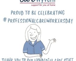 #ProfessionalCareWorkersDay